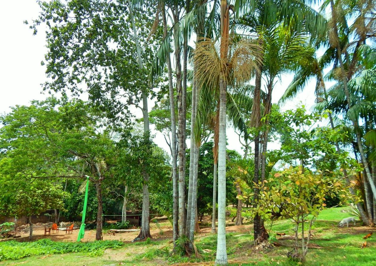 Jardins Guesthouse 里约布兰科 外观 照片
